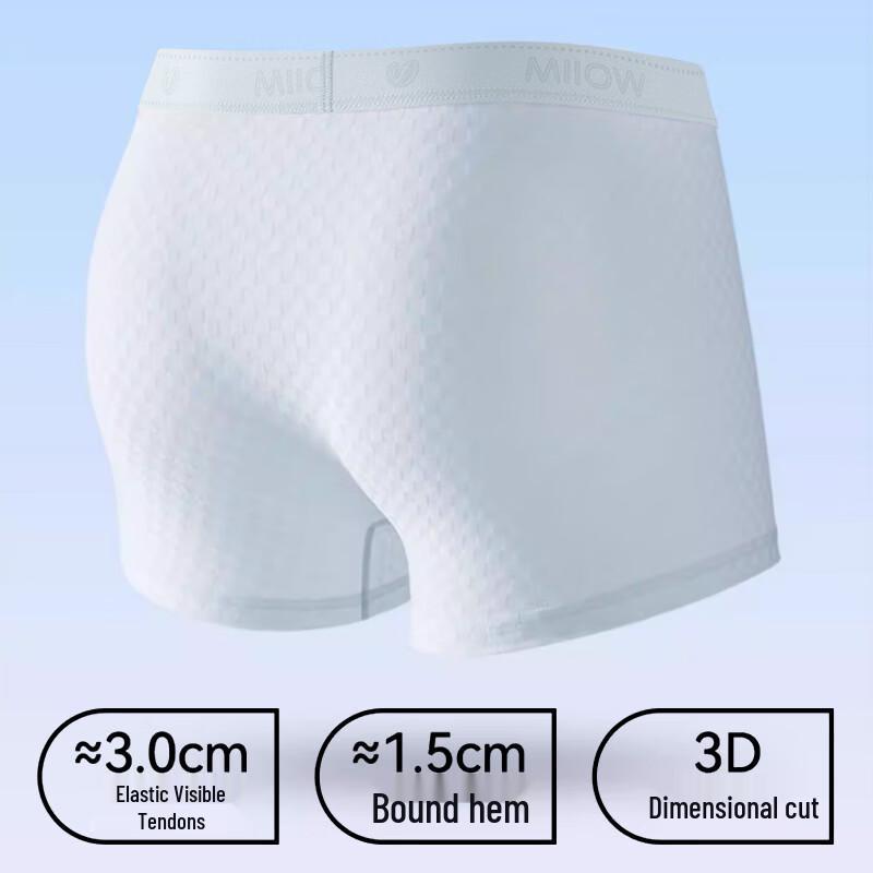 Mao Ren Youth Ice Silk Boxer Briefs - 4 Pack