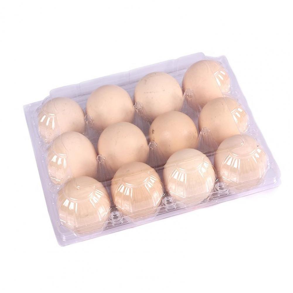 Farm Egg Display Case Secure Fasteners Egg Container Reusable Plastic Egg Cartons for Home Ranch Market Display Bulk for Farm