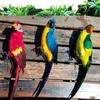 Multicolor Artificial Bird Model Foam Garden Decorative Bird Simulation Parrot  Garden Ornament