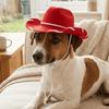 Adjustable Dog Cowboy Hat Breathable Cat Sunscreen Hat Dog Fisherman Hat Dog Visor Cat  Pet Party