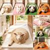 Pet Themed Animal Shaped Carpet 3D Printed Diatom Mud Mat Cat-Shaped Area Rug  Home Floor Decor