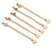 Stainless Steel & Titanium Necklace Extension with Lobster Clasp & Beaded Tail - DIY Accessory Set