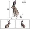 Oenux Lovely Farm Rabbit Bunny Model Action Figure Figurine Wild Desert Cottontail Hare Cute PVC Decoration Education Kid Toy