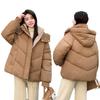 Down and Cotton Jacket Women's Winter 2025 New Loose and Versatile Korean Chic Niche Gentle Style Hooded Padded Jacket Jacket