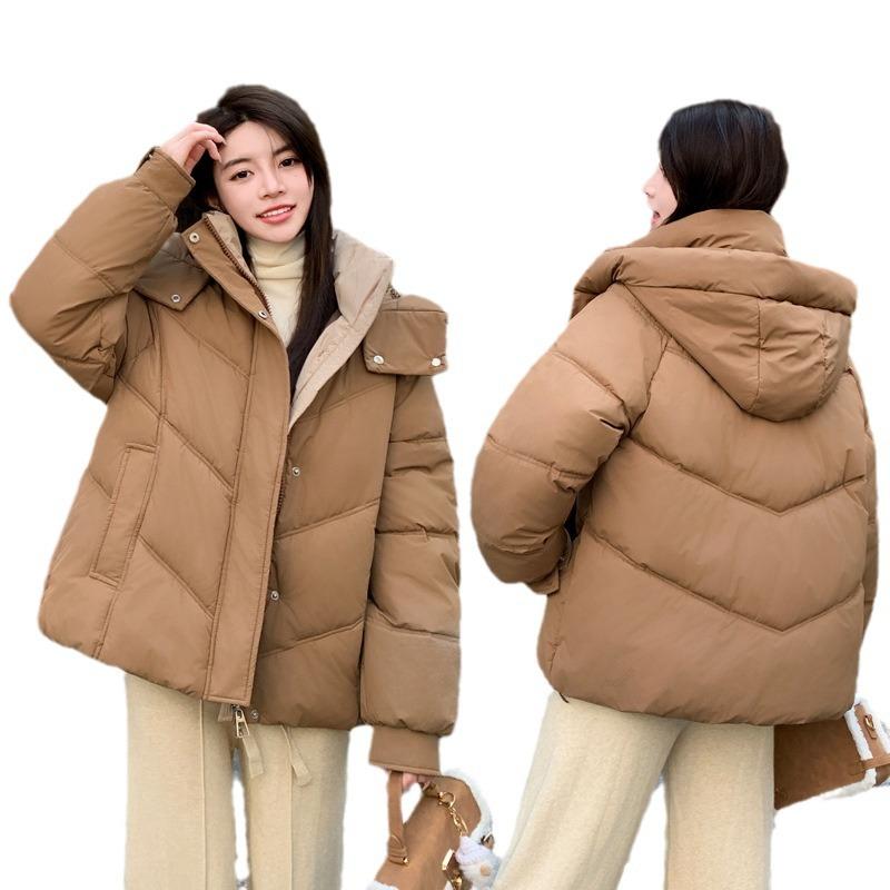 Down and Cotton Jacket Women's Winter 2025 New Loose and Versatile Korean Chic Niche Gentle Style Hooded Padded Jacket Jacket