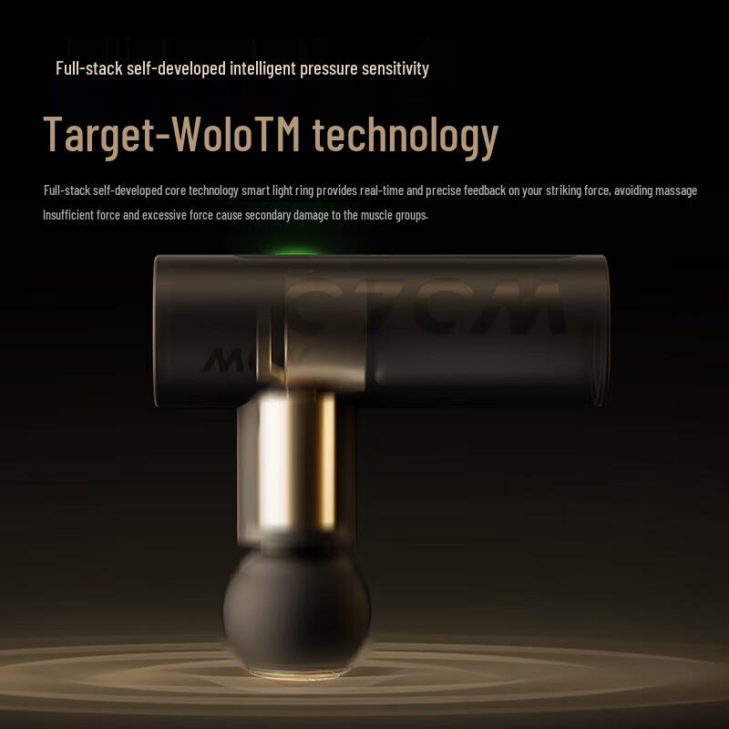 WOLONOW Portable Muscle Massage Gun CN Plug (adapter Included)