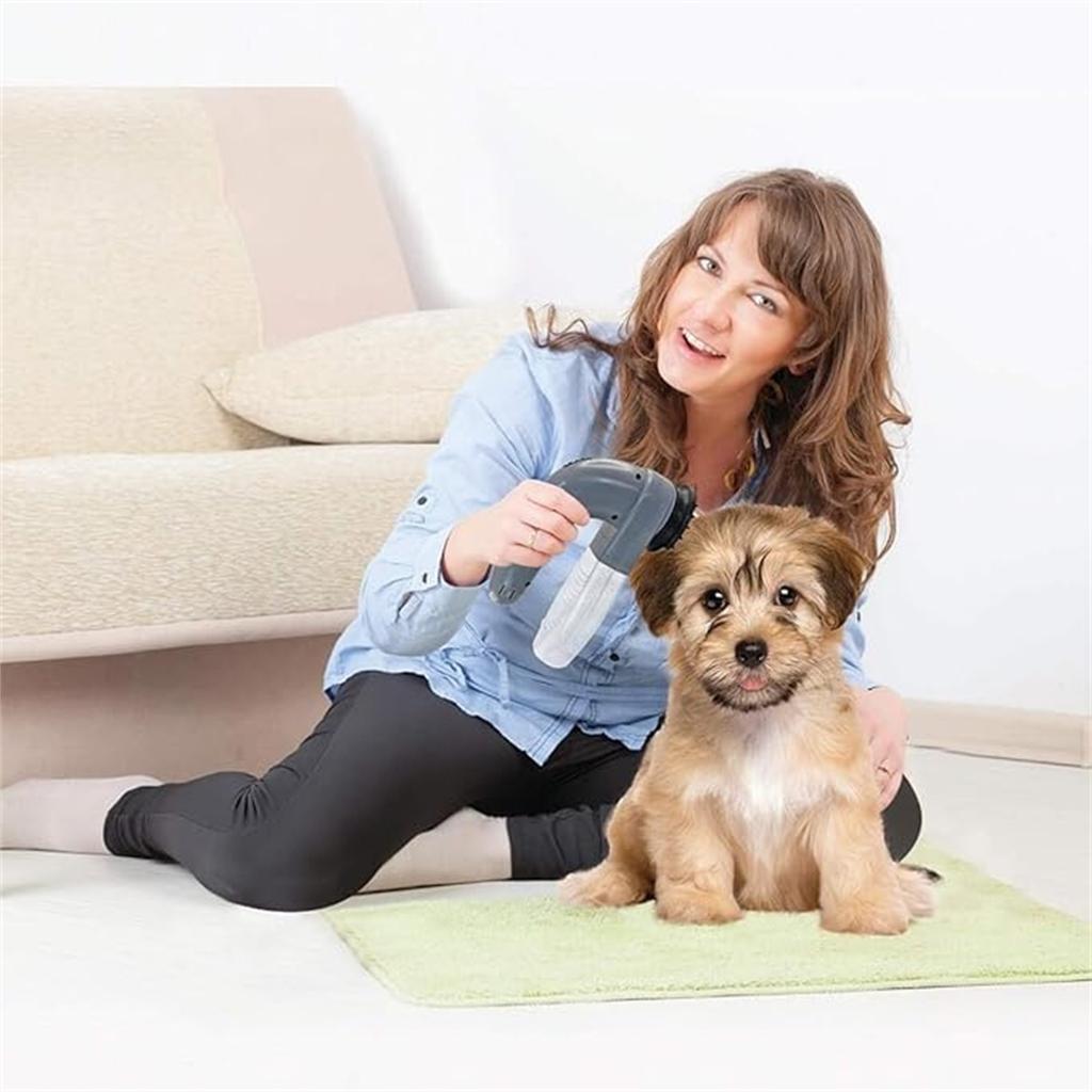 Pet Hair Remover | Pet Vacuum | Handheld Vacuum Pet Hair Eraser Cordless