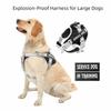 Leash Set Adjustable Harness Adjustable Reflective Vest Harness Service Dog Harness  All Breeds