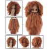 2Pcs/Set Halloween Wigs and Beard Set Funny Wizard Wig Beard Wild Men Wigs and Beard  Costume Party