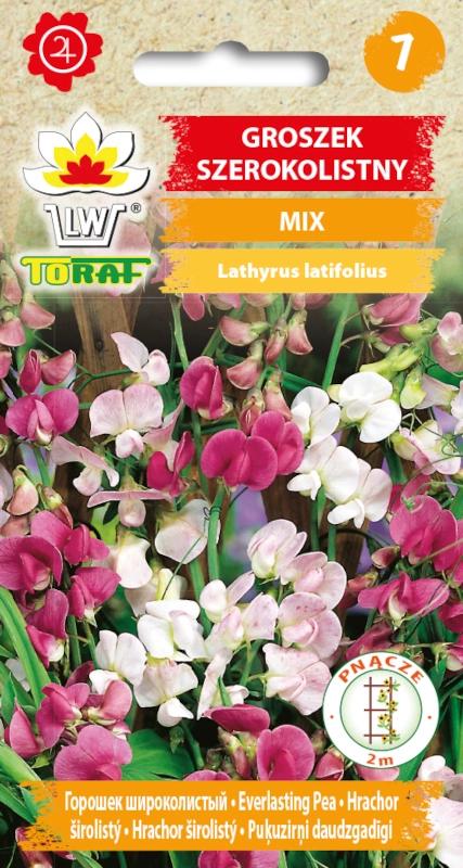 Broadleaf Peas Seeds 1g Flower Seeds for the Garden Large Yields