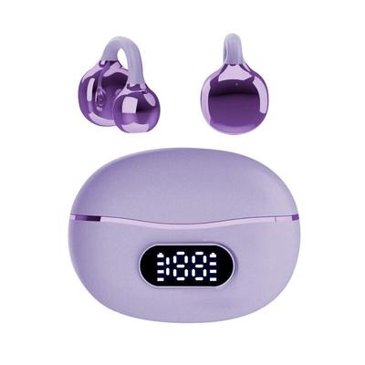 Sayrelances T12 AI Translation Noise Cancelling Clip-on Bluetooth Earbuds