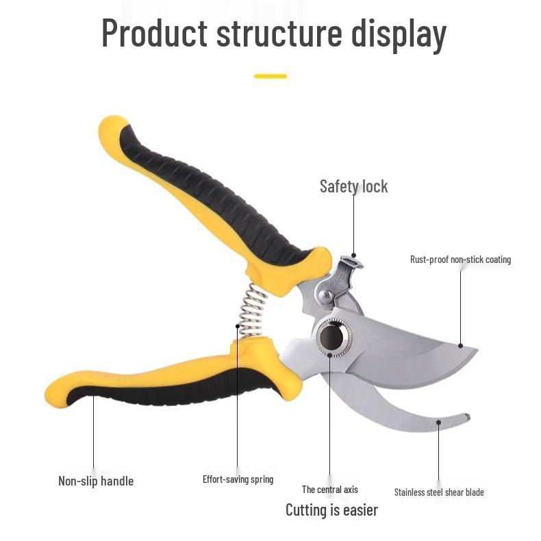 Stainless Steel Garden Pruning Shears for Fruit, Flowers, Branches, and Orchards