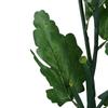Outside Solar Landscape Yard Lamp Garden Lawn Flower Shape LED Light Decoration