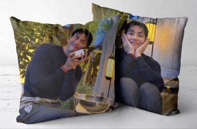 [USED] BTS Cushion Cover CELINE Taehyung V Tae