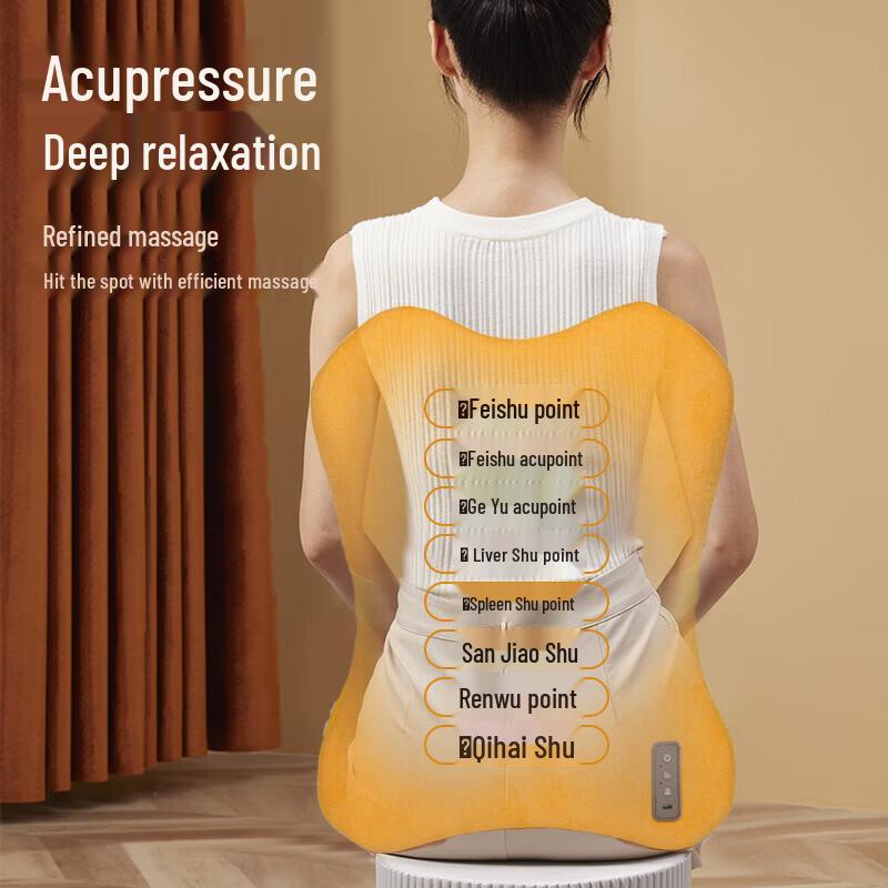 R3 Heated Lumbar & Back Massage Cushion CN plug (adapter included)