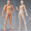 Artist Art Painting Anime Figure Sketch Draw Male Female Movable Body Chan Joint Action Figure Toy Model Draw Mannequin
