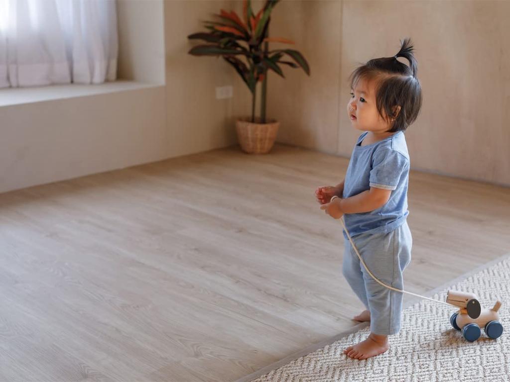 PLANTOYS JAPAN Pull & Push Puppy 5724