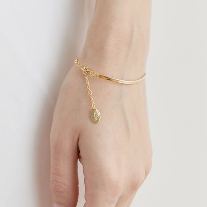 halden flat snake chain bracelet (W004_gold)
