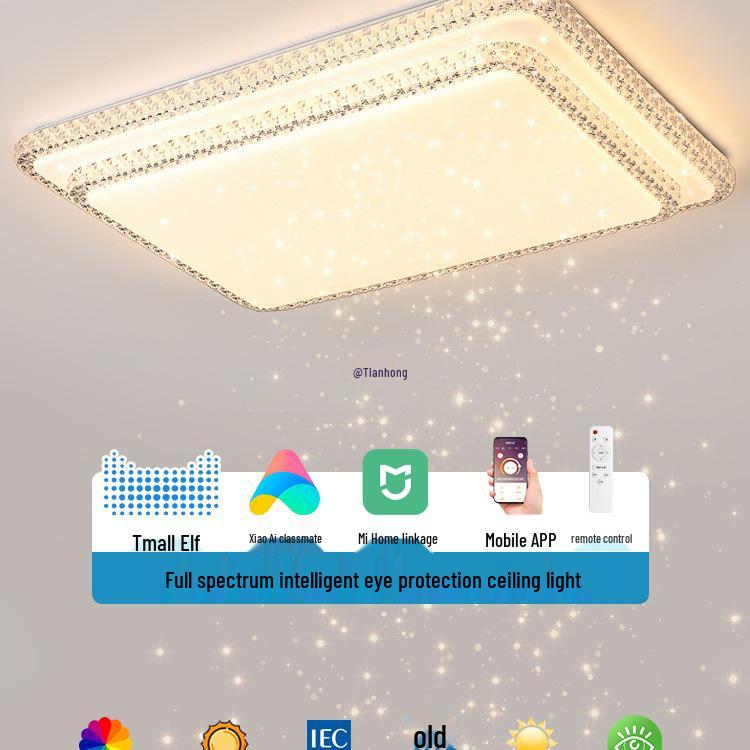 2025 Modern Minimalist Ceiling Light for Bedroom, Living Room, or Hallway