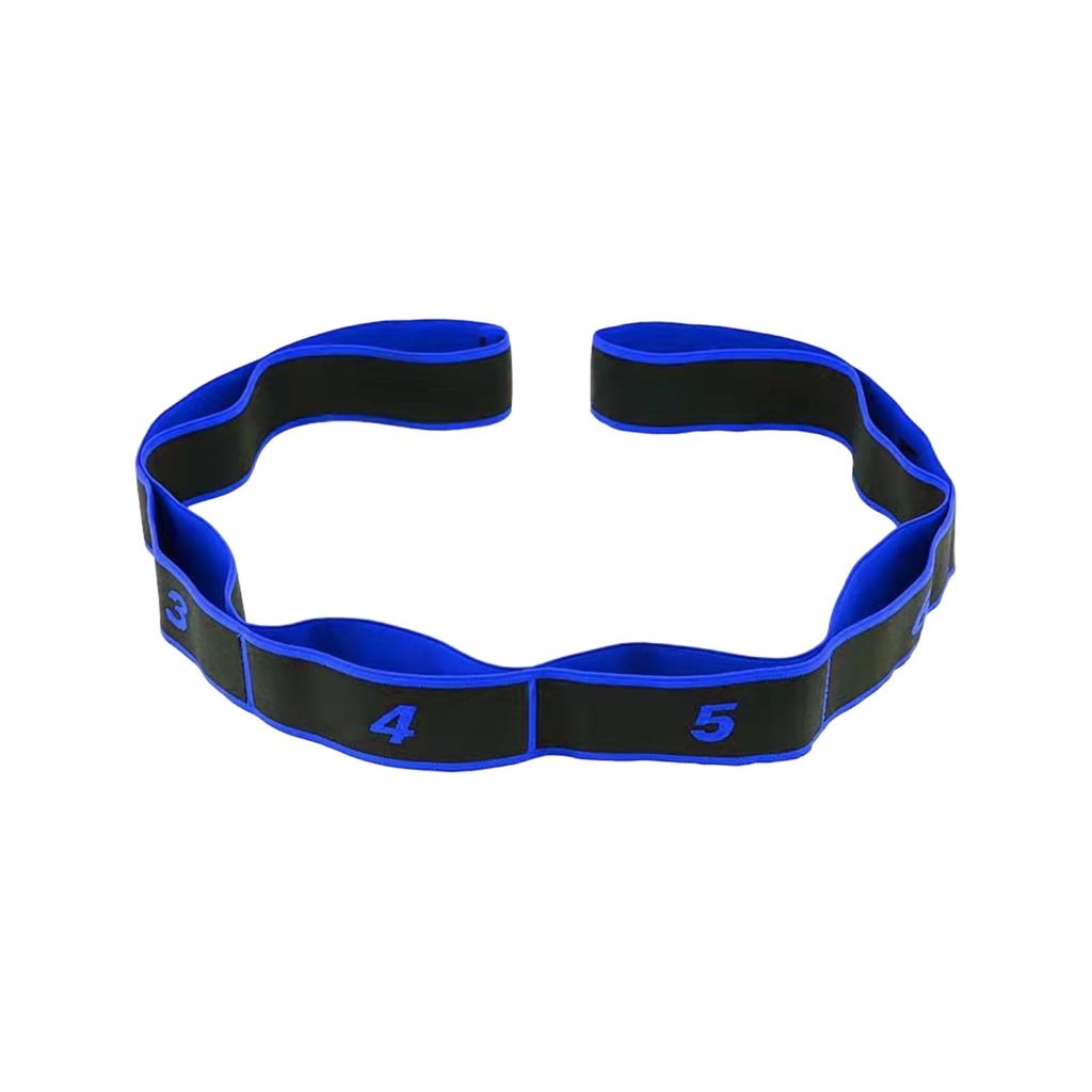 Resistance Loop Band with 8 Numbered Sections for Adjustable Strength Training Stretching and Physical Therapy Exercises