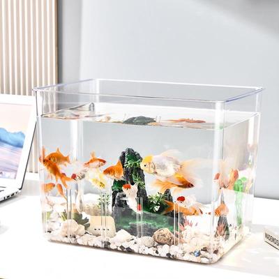 Transparentes Luxus-Aquarium mit Trennwand: Ökologisches Tischaquarium für Kampffische, Goldfische und Schildkröten mit Wasserpflanzen