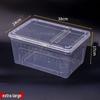 Acvariu Mic din Plastic Transparent și Cutie de Transport pentru Animale Mici