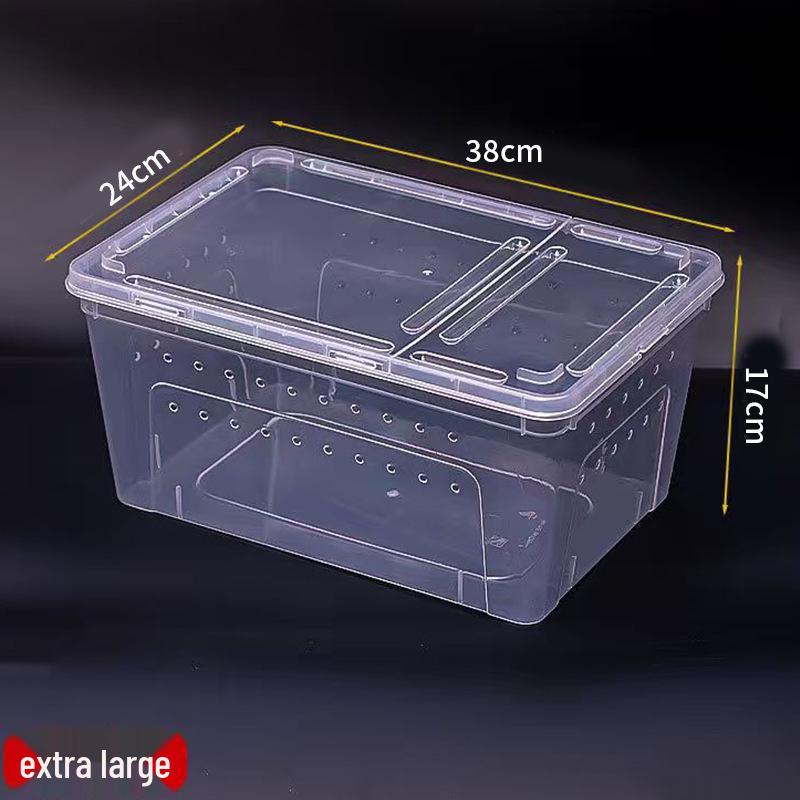 Acvariu Mic din Plastic Transparent și Cutie de Transport pentru Animale Mici
