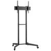 Neomounts FL50-540BL1 Tilting TV Stand, Height Adjustable 94.0 Cm (37) - 177.8cm (70) Standing, Tiltable,