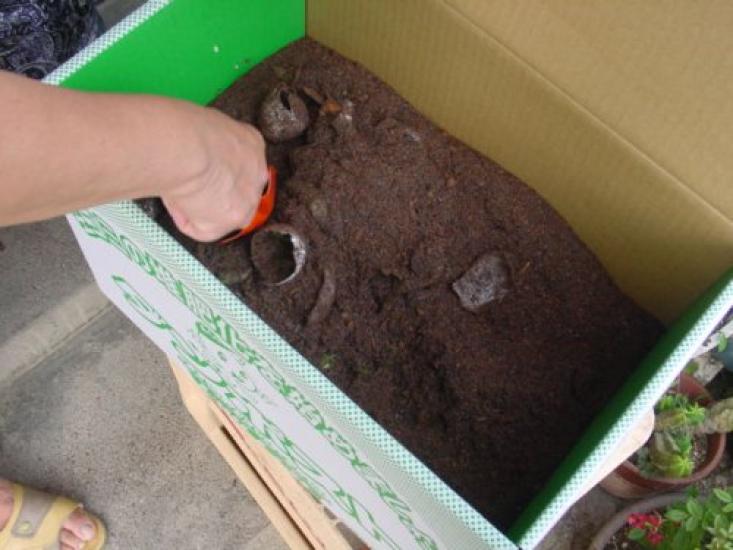Compost Cardboard Compost Simple Set Net and Shovel Not "Danpost" (Insect Included.)