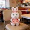 Peluche, Regali di Compleanno Carini e Perfetti Per e Compagni di Classe, Regali di Laurea