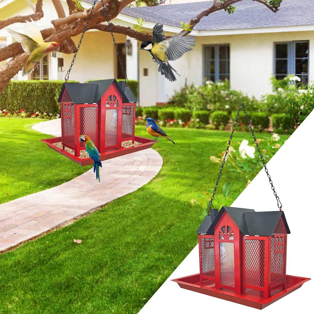 Yard Squirrel Feeder