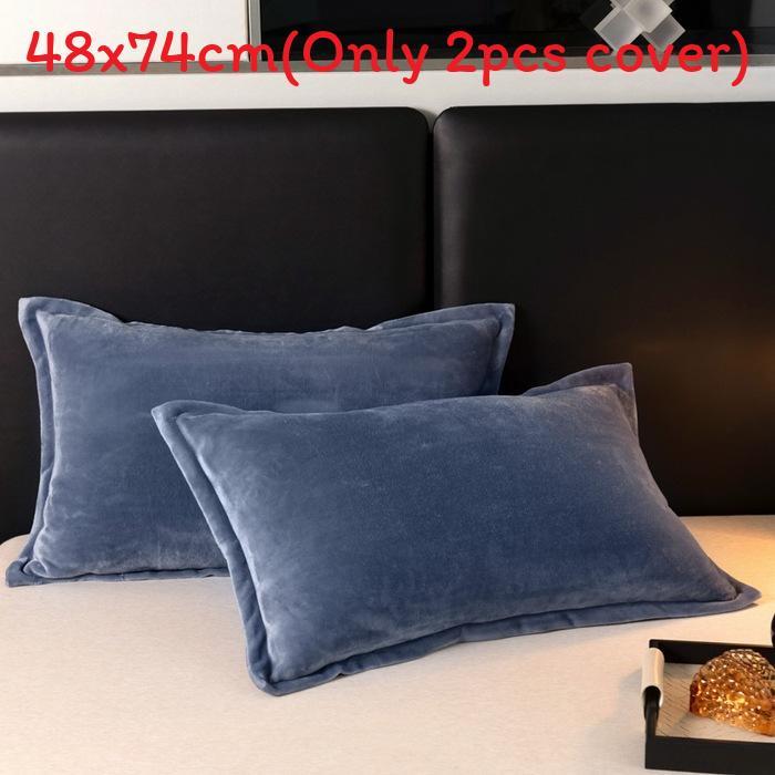 Modern Simplistic Doublesided Milk Velvet Pillowcase With Crystal Fleece For Home Comfort