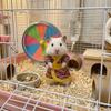 Soft Hamster Dress Skin-friendly Pet Long Skirt Dress Hamster Cosplay Clothes  Cosplay Clothes
