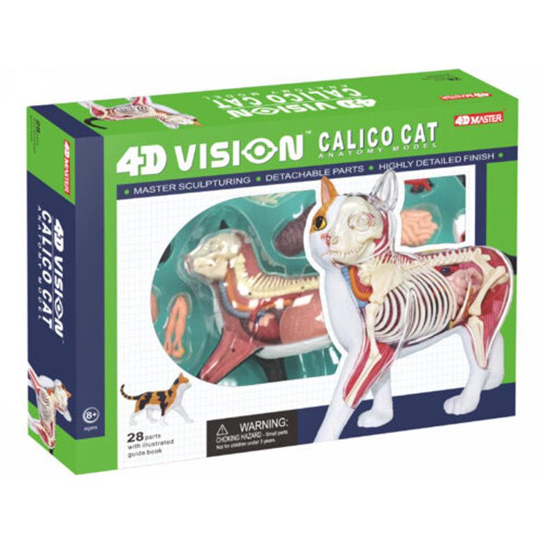 4D MASTER Calico Cat Dissection Model: Educational Toy for Animal Anatomy Teaching 26014