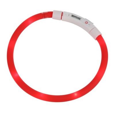 LED Dog Collar