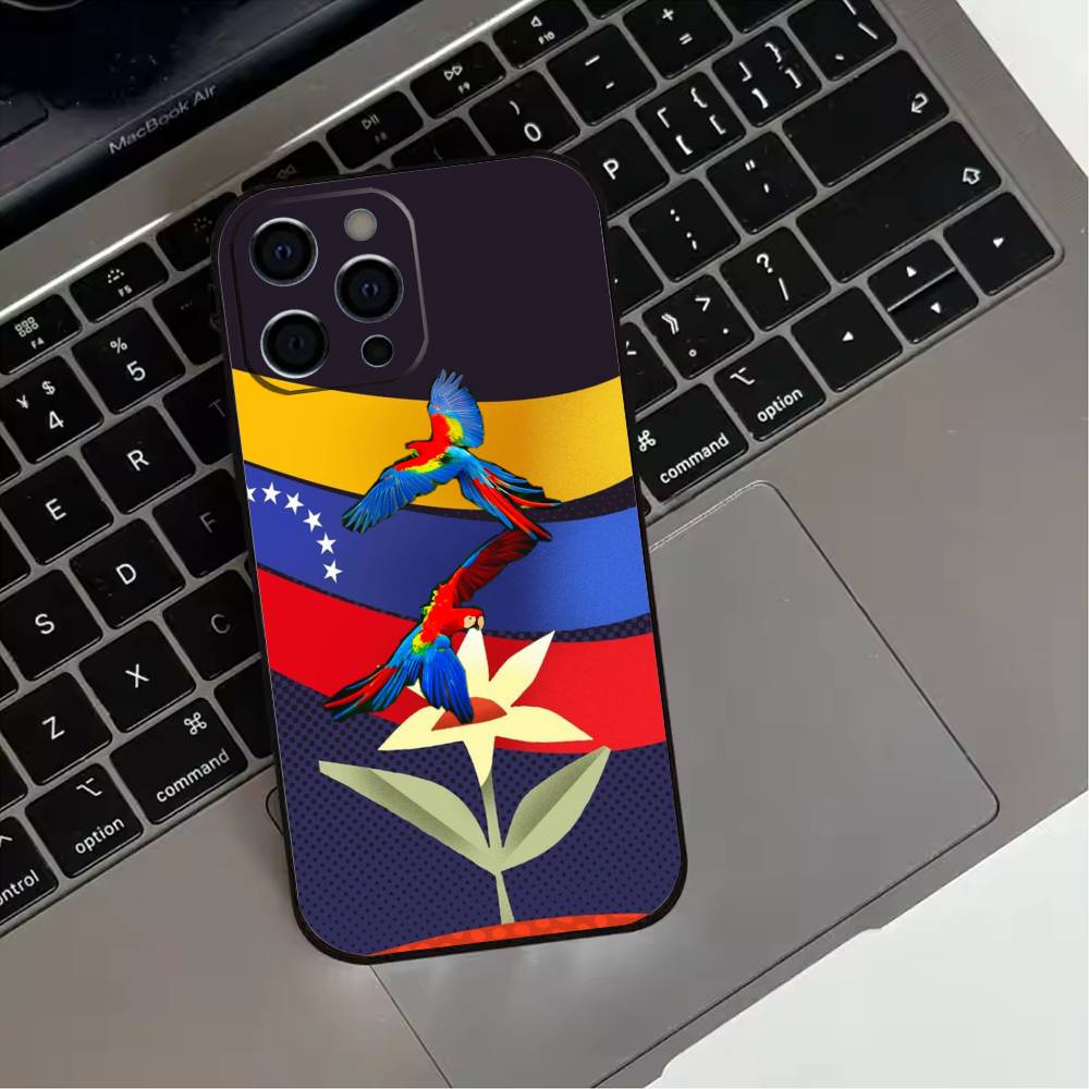 

Venezuela esthetic Art Phone Case For iPhone 17,16,15,14,13,12,11 Plus,Pro Max,XS,Soft Silicone Black Cover iPhone14Plus