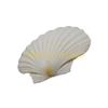 49MD Bulk White Scallops Shells for Painting, Baking, Ocean Themed Party Large Seashells Assortment Beach Decors