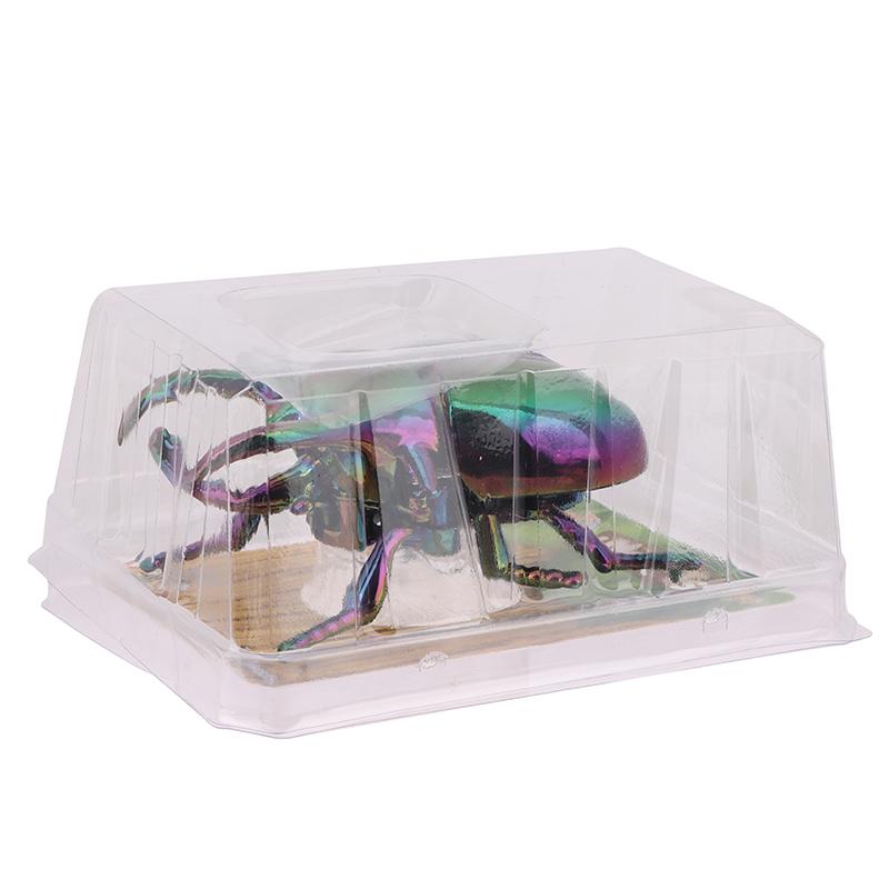 Wind Up Beetle Bionic Toys Creative Prankster Animated Insect Toy Model Beetle Children'S Battle Plastic Animals Wind Up Toy