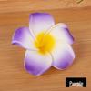 Pince à cheveux Plumeria: Fleur Hawaïenne en EVA pour Maillots de Bain & Voyage (4-9cm)