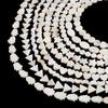 22-115Pcs Natural Freshwater Shellfish Geometry Beads For DIY Necklace Bracelet Earrings Jewelry Making