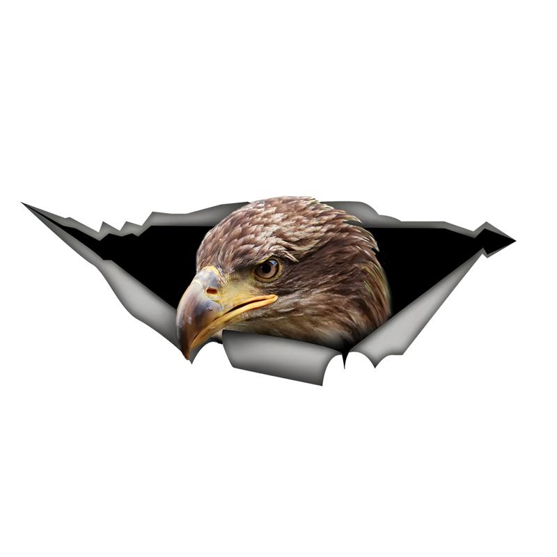 

Eagle Car Stickers Scratch Blocking Self-Adhesive Waterproof Decal, Used for Car, Laptop, Motorcycle, Van, RV 30cm-Longest Side