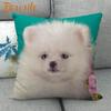 Nice Pomeranian Dog Pillowcase Bedroom Home Decorative Cover 45x45cm Square Zipper Pillow Cases Cotton Linen Fabric No Fade