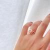 Hot Classic Europe Famous New 2023 Classic Popular Brand Set Women's Rose Jewelry For Party With Necklace With Pink Gold