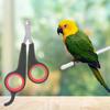 Pet Bird Parrot Small Animals Accessory Grooming Tool Nail Scissors Clipper Black and Red