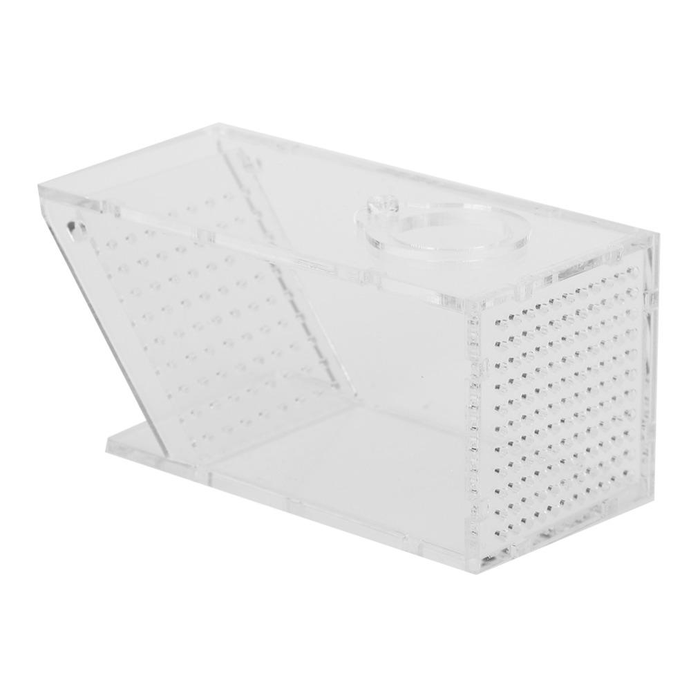 Transparent Fish Tank Trap Acrylic One Way Trap Durable Shrimp Catcher Reptile Terrarium