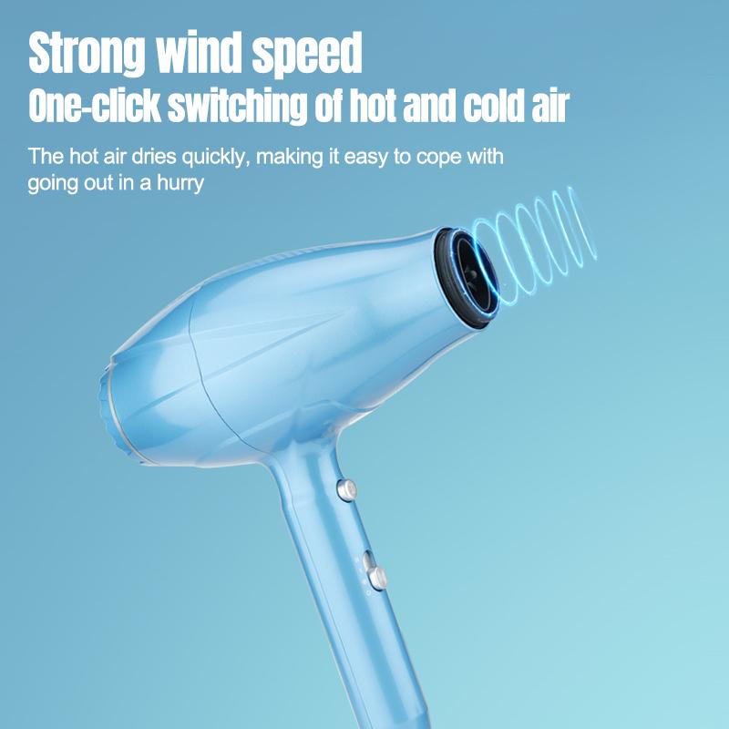 2 In 1 Hair Straightener and Dryer Set 3 Level Wind Speed for Dryer Straight Curly for Hair Flat Straightener Hair Styling Tool