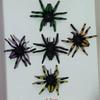 12 Black Luminous Small Halloween Prank Spiders
