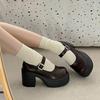 Sladké A Cool Silný Podpatek Vysoký Podpatek Malé Kožené Boty Dámské Jarní A Letní Platforma Zvýšení Francouzské Retro Mary Jane Jednoduché Boty