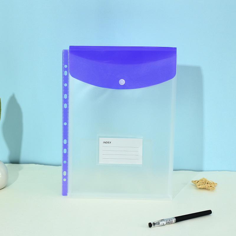 11-Hole 3D A4 Transparent Snap-Button File Bag with Card Holder - Colorful Student Document Organizer
