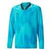 Puma Childrens/Kids Teamtarget Long-Sleeved Goalkeeper Jersey